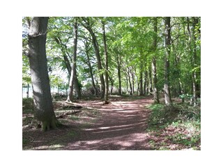 Ferienhaus Kellenhusen  26