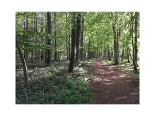 Ferienhaus Kellenhusen  27