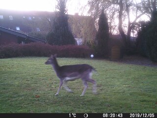 Ferienhaus Kellenhusen  28