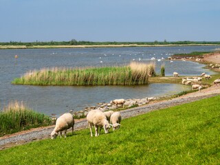 Maison de vacances Tossens Environnement 28