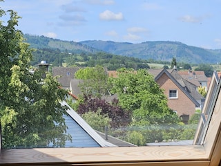 Blick auf den Harz