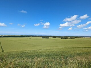 Ferienhaus Løkken  12