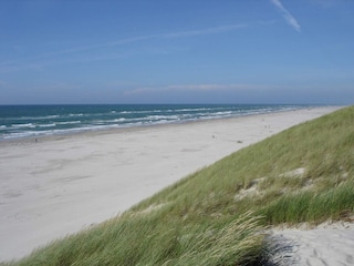 Ferienhaus Løkken  13