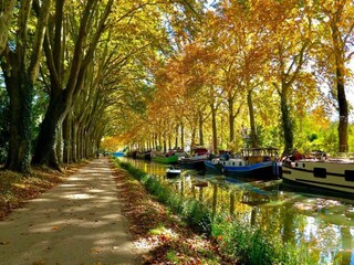 Vakantiepark Lespignan Omgeving 23