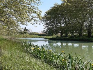 Ferienpark Lespignan Umgebung 25