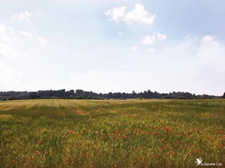 Parc de vacances Lespignan Environnement 16