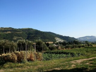 Fattoria Modigliana Registrazione all'aperto 6