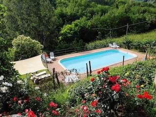 Farmhouse Modigliana Outdoor Recording 15