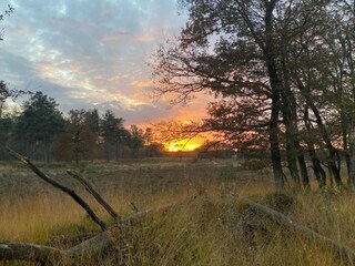 Parc de vacances Groesbeek Environnement 27