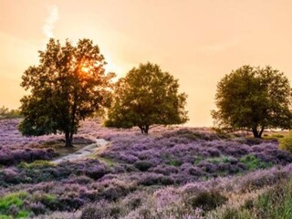 Parc de vacances Groesbeek Environnement 30