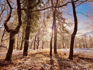 Parc de vacances Groesbeek Environnement 35