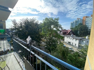 Apartment Misdroy Außenaufnahme 6