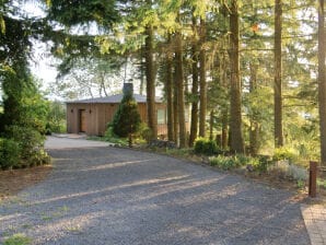 Ferienhaus Chalet Eifelidylle - Antweiler - image1