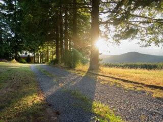 Holiday house Adenau Outdoor Recording 4