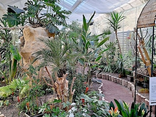 Holiday house Adenau Environment 39