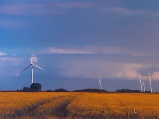 Ferienwohnung Krummhörn Umgebung 17
