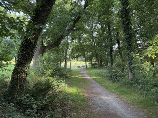 Tolle Wanderwege warten auf euch