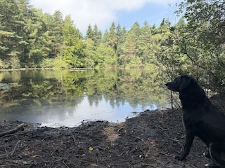 Der wunderschöne Silbersee