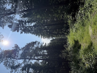 Ein Abschnitt des Wanderweges zum Silbersee