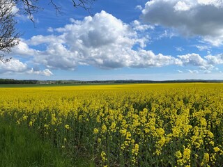 Residenz Margarete 1.7