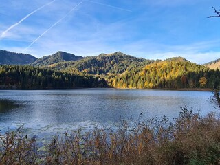 Apartment Schliersee Environment 15