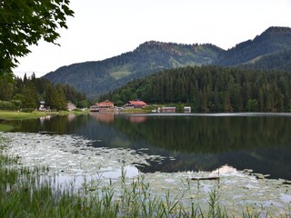 Nochmal der See