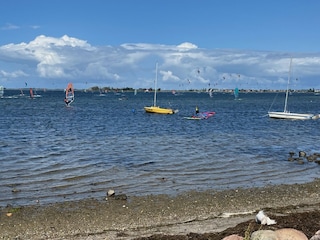 Windsurfen auf Fehmarn