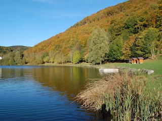 Liegewiese am Waldsee Rieden