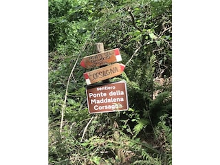 Hiking