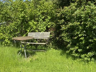 ein ruhiges Plätzchen im Garten