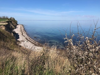 Whalewatching auf der Joggingrunde