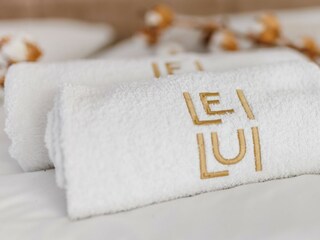 Villa Malinska Features 15