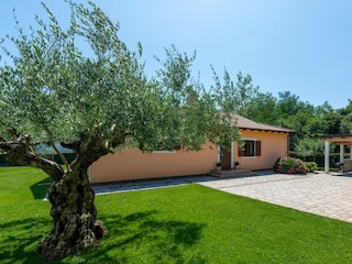 Villa Karigador Environment 39