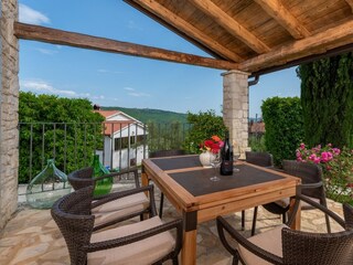 Villa Buzet Environment 27