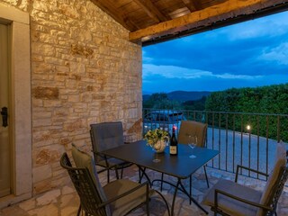 Villa Buzet Environment 37