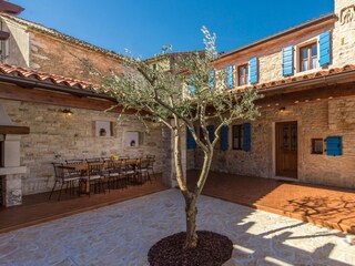 Villa Momjan Environment 23