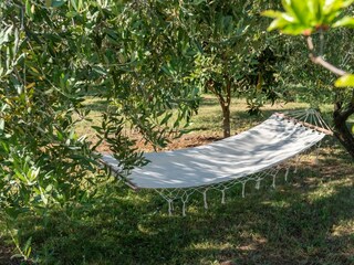 Villa Višnjan Environment 37