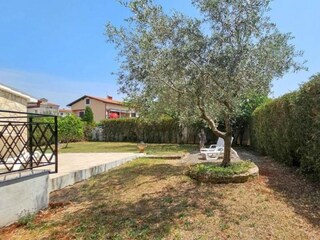 Villa Novigrad (Istrien) Environment 28