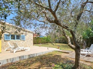 Villa Novigrad (Istrien) Environment 29