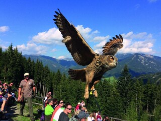 Apartamento Eisenerz  34