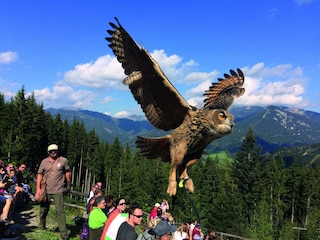 Apartment Eisenerz  34