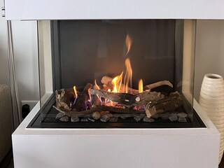 Kaminfeuer im geschlossenen Kamin
