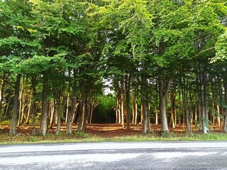 Ferienhaus Vester Hjermitslev  25