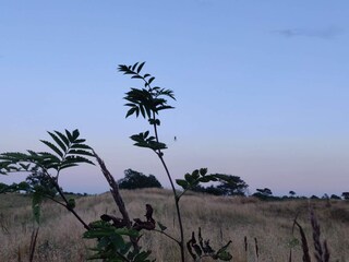 Casa per le vacanze Vester Hjermitslev  33