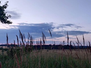 Vakantiehuis Vester Hjermitslev  29