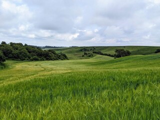Maison de vacances Vester Hjermitslev  30