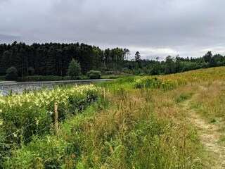 Vakantiehuis Vester Hjermitslev  31