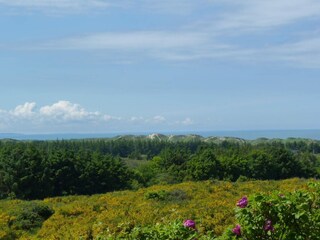 Ferienhaus Vester Hjermitslev  33