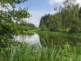 Ferienhaus Vester Hjermitslev  2