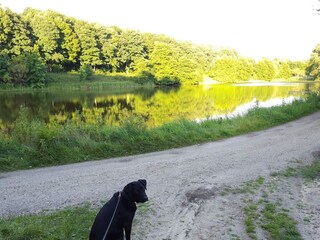 Vakantiehuis Vester Hjermitslev  4